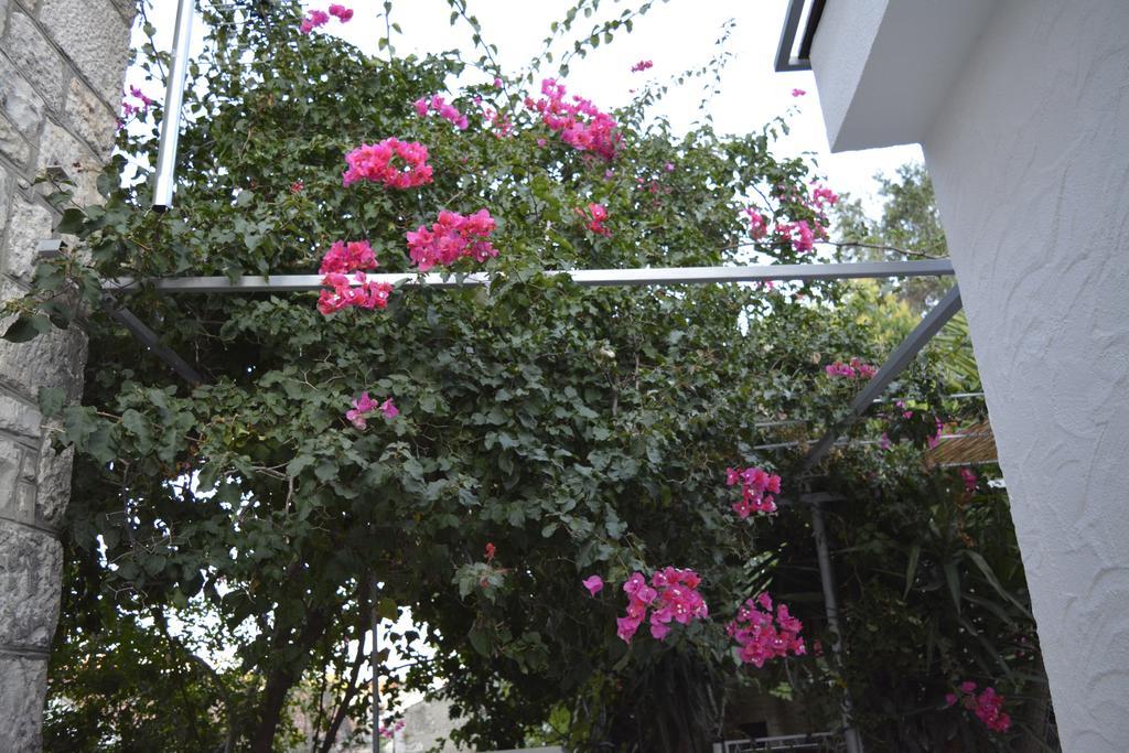 Apartment On The Sunny Side كورتْشولا المظهر الخارجي الصورة